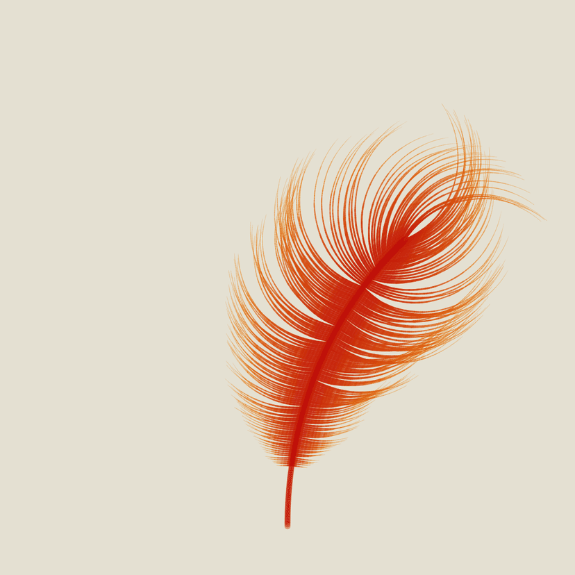 Feathers